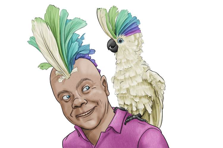 It seems that this parrot's hairstyle (parecer) has become very popular.